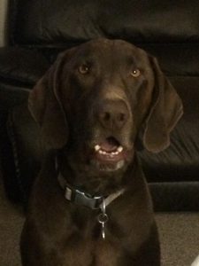 Duke